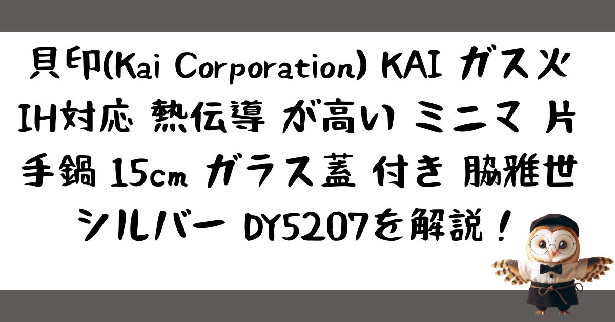 貝印(Kai Corporation) KAI ガス火 IH対応 熱伝導 が高い ミニマ 片手鍋 15cm ガラス蓋 付き 脇雅世 シルバー DY5207の記事の画像