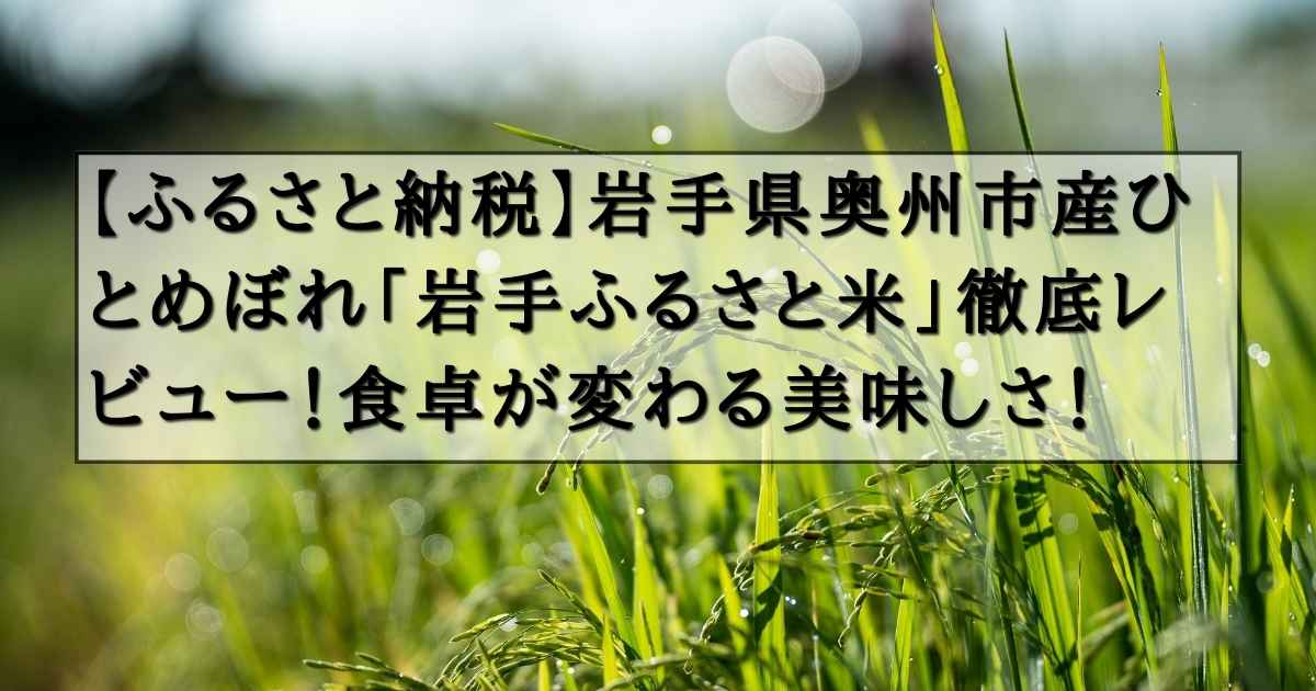 【ふるさと納税】岩手県奥州市産ひとめぼれ「岩手ふるさと米」徹底レビュー！食卓が変わる美味しさ！の記事の画像